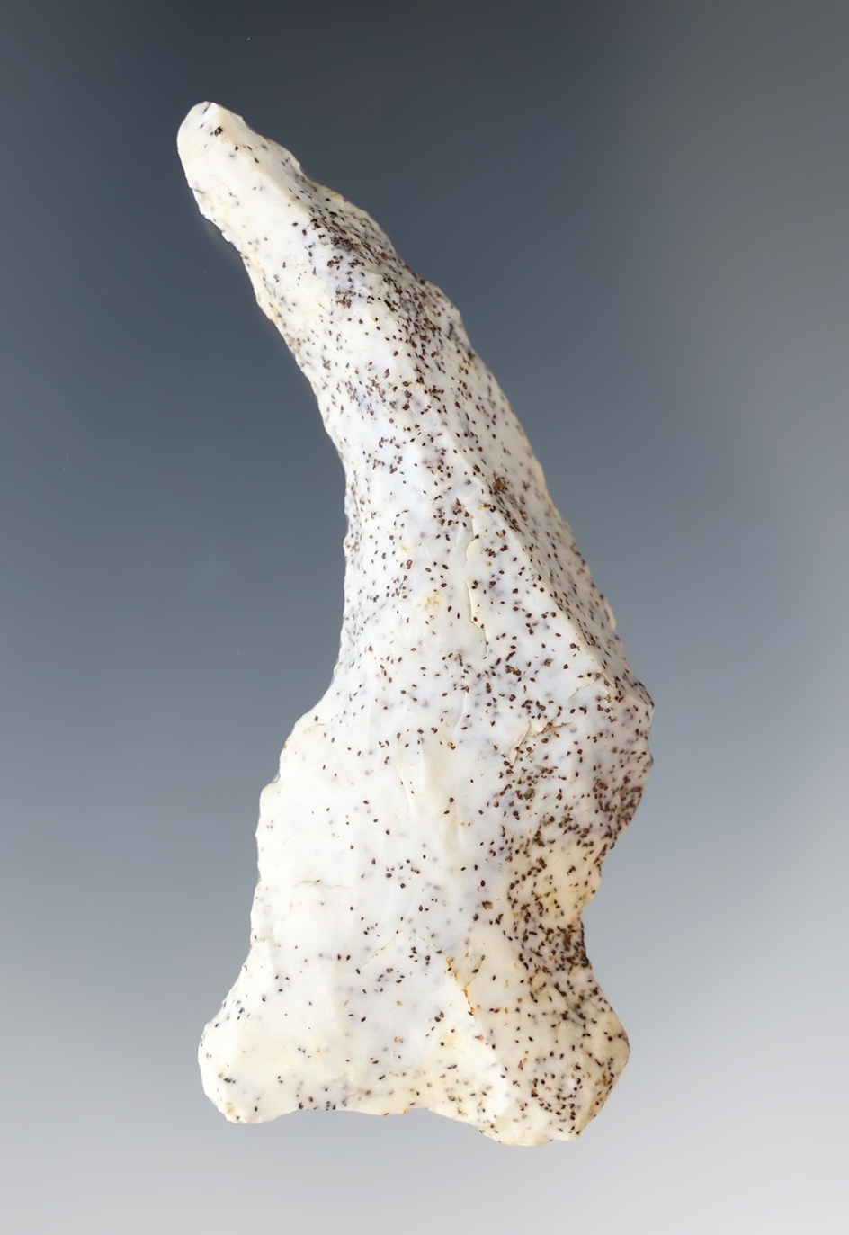 2 1/2" Uniface Spokeshave found in Coshocton Co., Ohio.