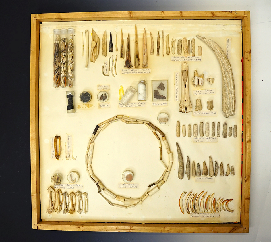 PICK UP ONLY! Display of bone artifacts found at the South Park Site in the Cuyahoga Valley, Ohio.