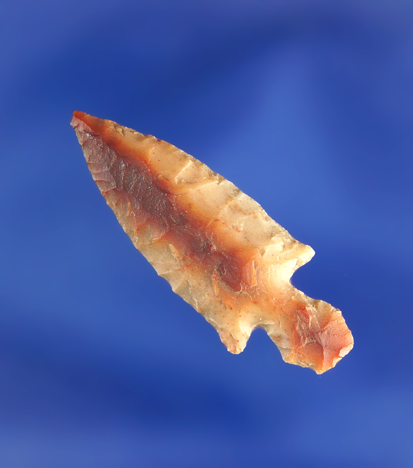 1 3/16" Klickitat Dagger found near Biggs Junction near the Columbia River, Washington.