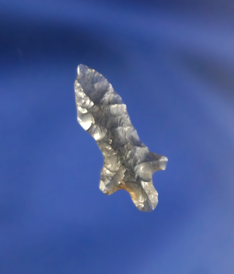 Exceptional style! 15/16" translucent Obsidian Rose Spring Stemmed found near Clearlake, CA.