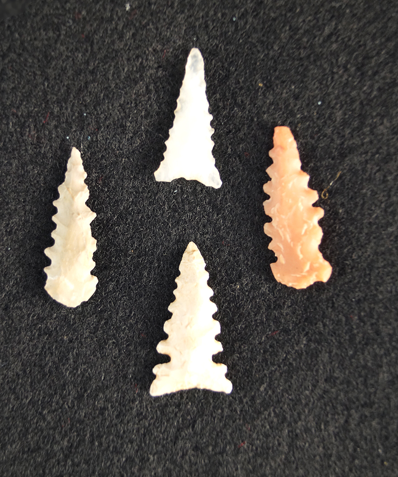 Set of three highly serrated Snaketown arrowheads found in New Mexico Largest is 1 1/8".