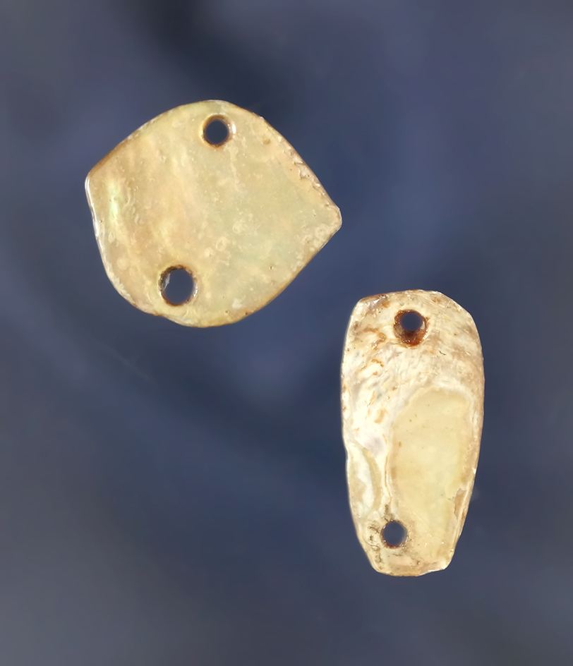 Pair of drilled abalone shell ornaments found near the Columbia River, largest is 7/8" wide.