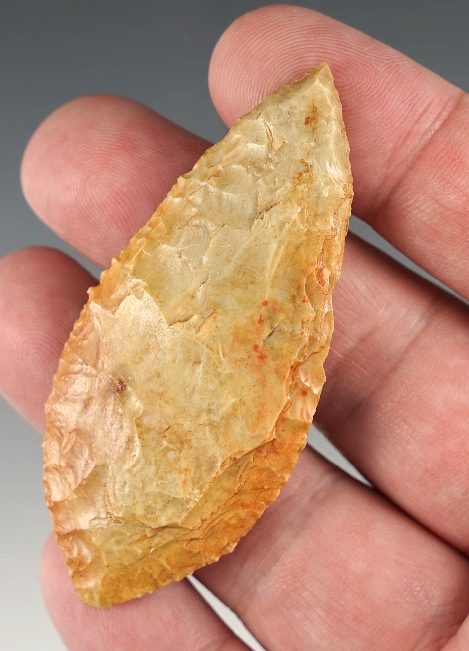 Colorful 2 3/4" African Neolithic Willow Leaf Blade.