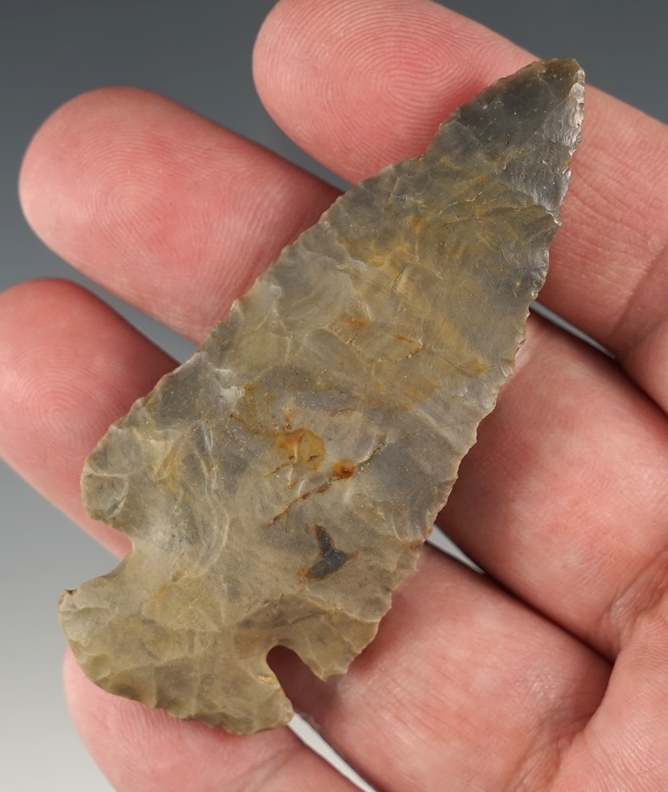 2 7/8" well patinated Dovetail found in Posey Co., Indiana.