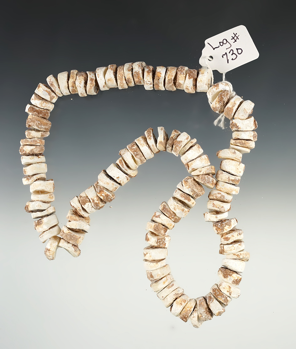 20" Stand of Shell Beads found in Medota, Virginia.