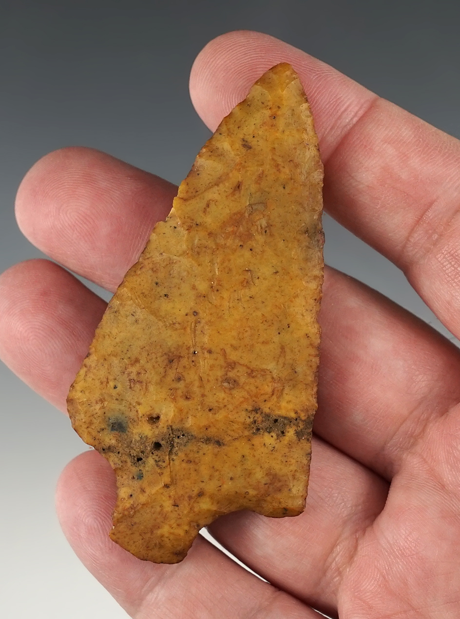 3 1/16" Stemmed point found in Alachua Co., Florida. Heavily patinated. Ex. Weidman collection.