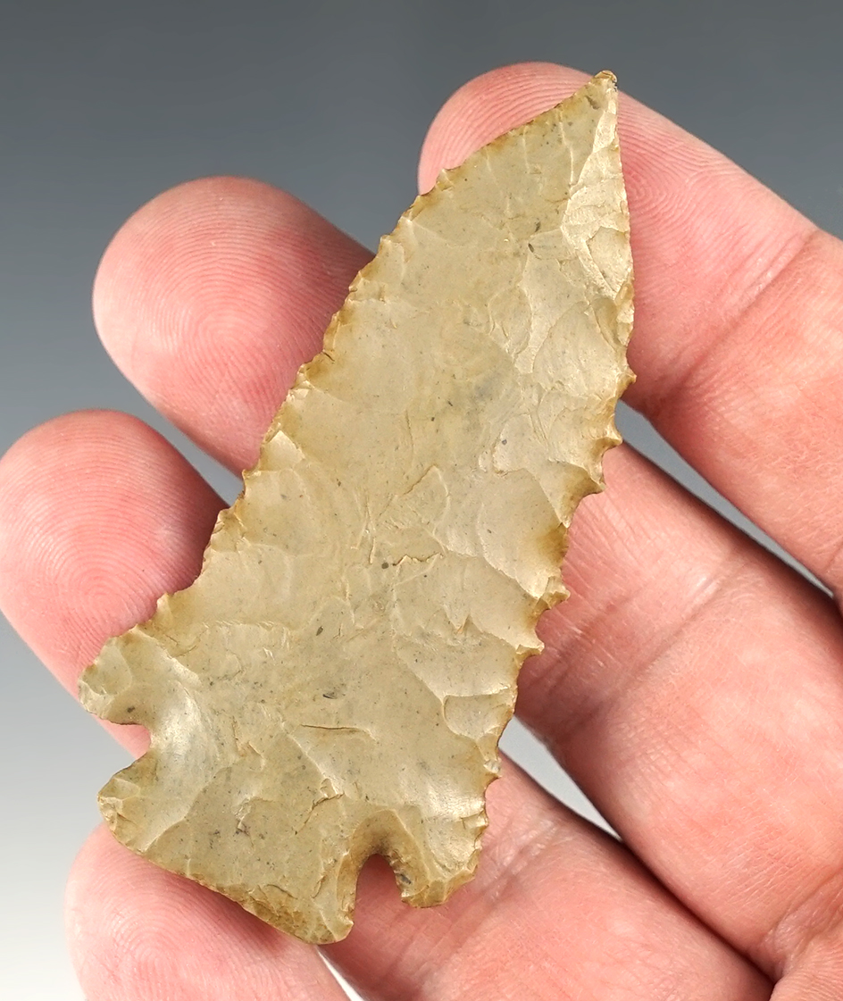 Impressive 2 5/8" Kentucky Pinetree with nice serrations. Classic style and well made.