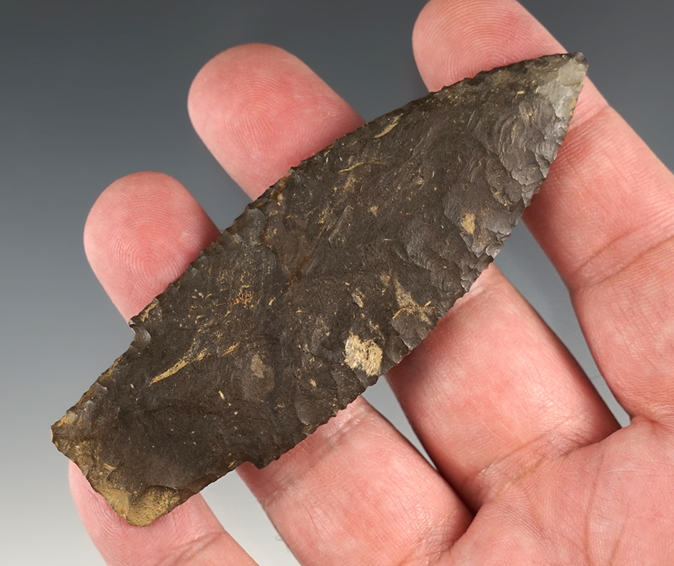 Incredibly thin and well made 3 5/8" Stemmed Lanceolate found in Erie Co., Pennsylvania.