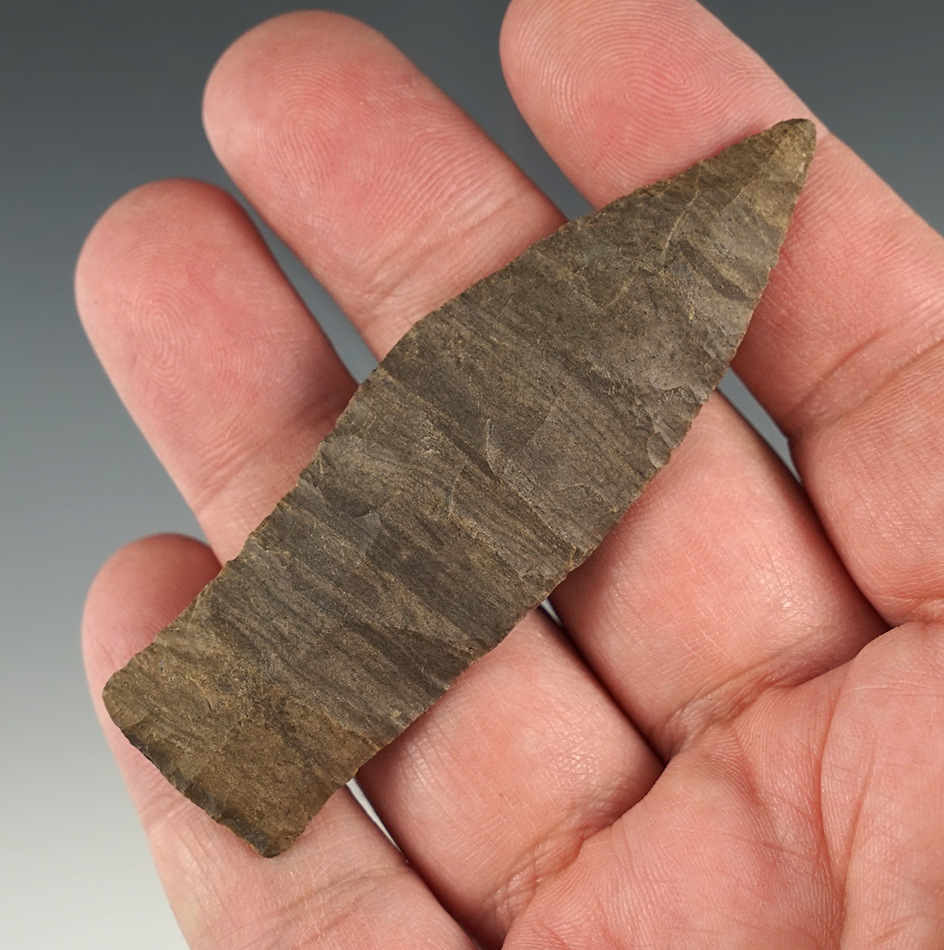 Stellar 3 1/16" Copena found in Tennessee. Nicely patinated Dover Chert. Davis COA.