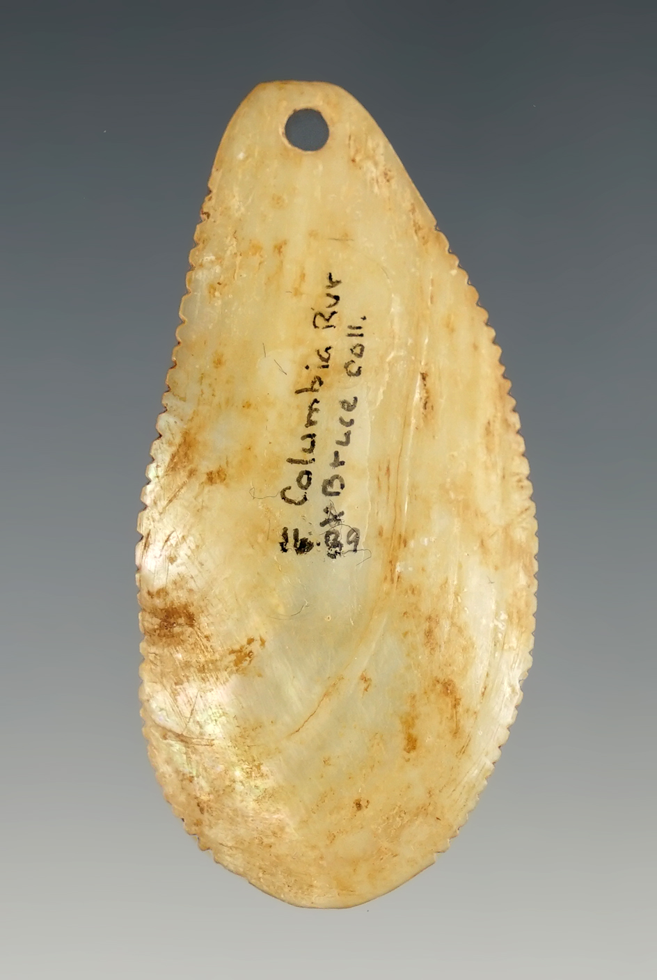 Finely made 2 1/8" Fresh Water Shell Pendant found by Kay Don Bruce near the Columbia River.