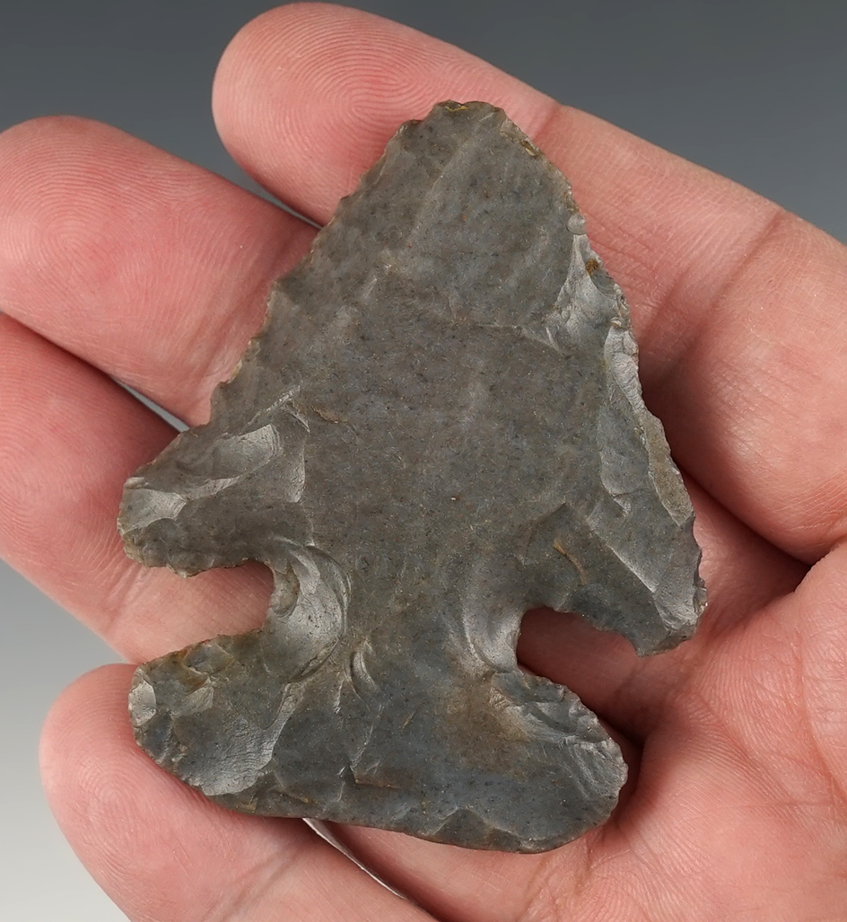 Well made 2 1/2" Archaic Bevel found in Tennessee. Comes with a Davis COA.