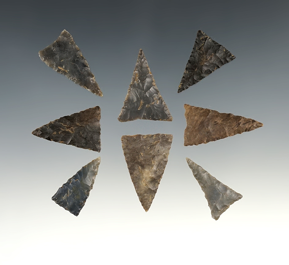 Set of 8 nice Kentucky/Tennessee Triangle points.The largest is 1 3/16".