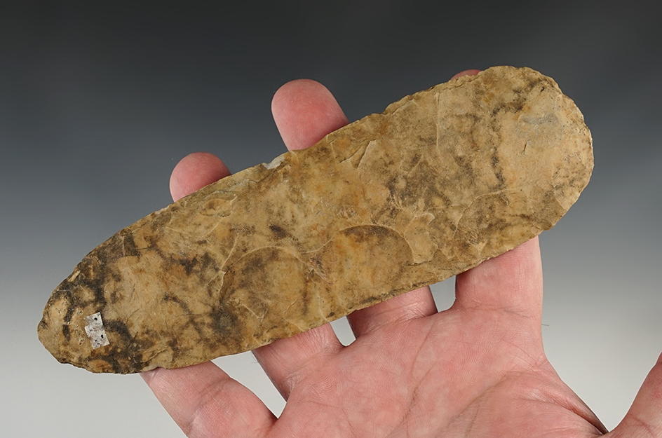 Heavily patinated and well flaked 6 1/2" Flint Celt that is thin for size. Somerset, Kentucky.