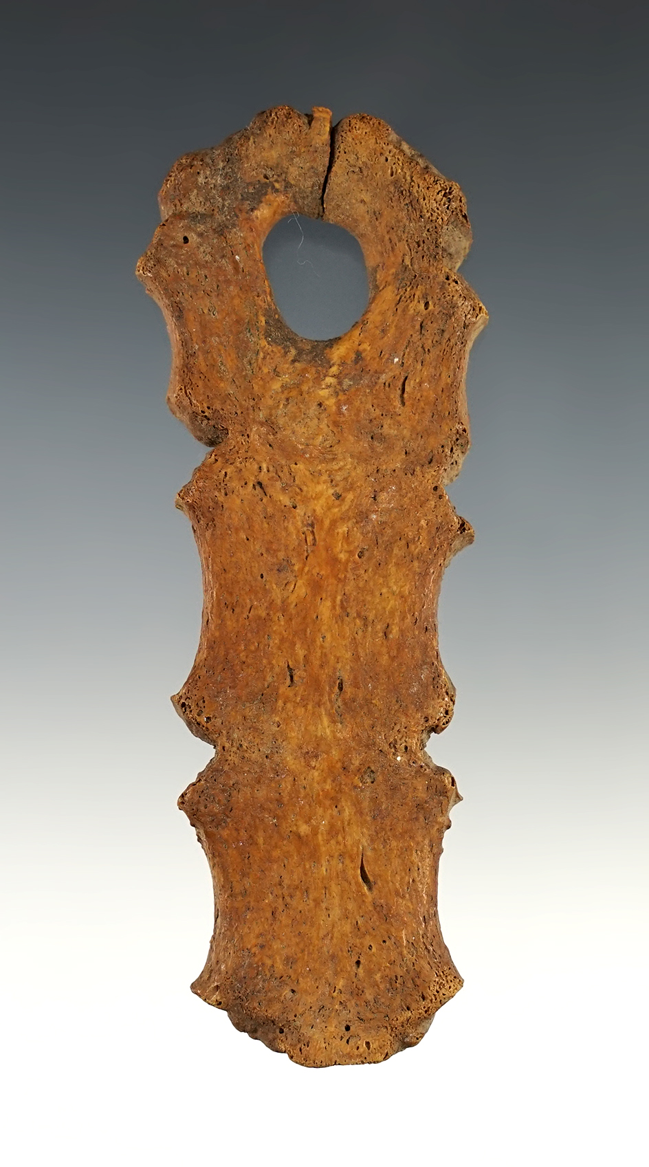 4" long bone shaft wrench for arrow shafts found near the Columbia River.