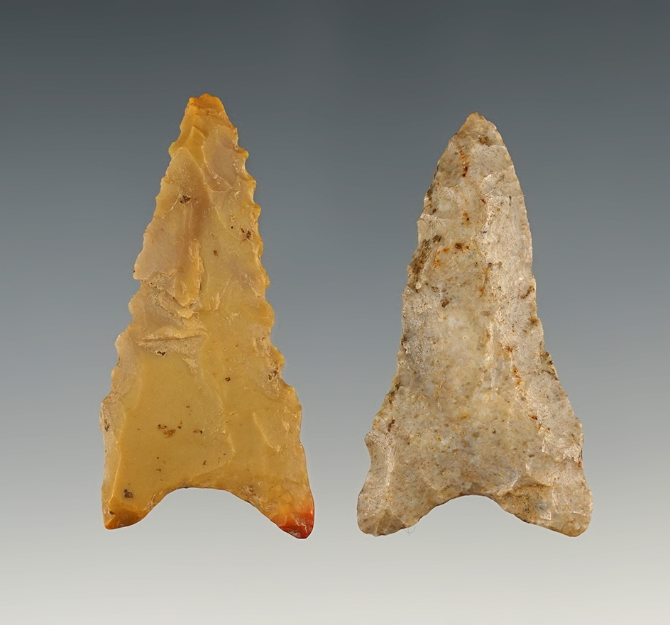 Pair of nice Dalton points found in Clay Co., Arkansas. The largest is 1 13/16".