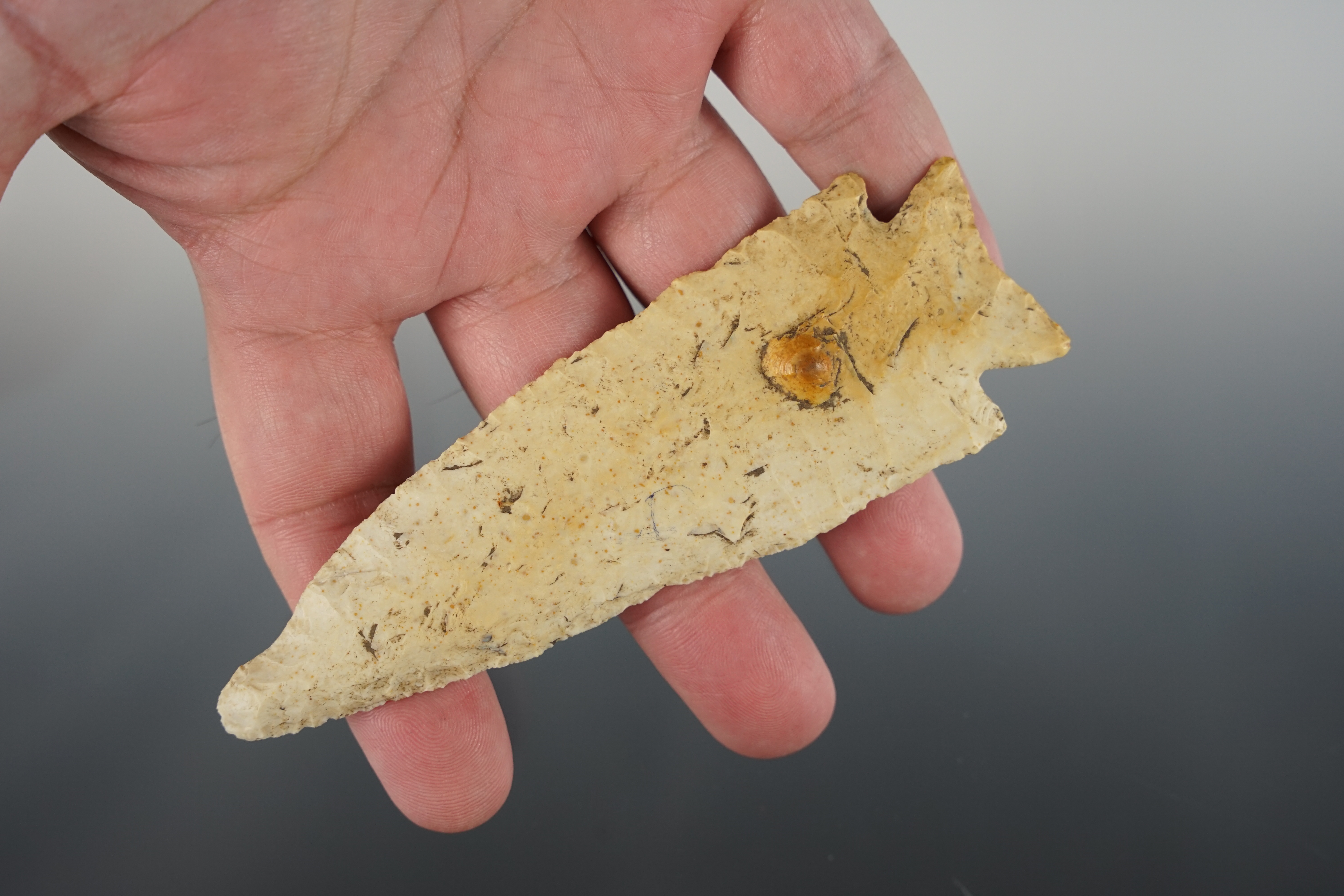 Large 4 3/4" Illinois Stilwell point that is well patinated. Comes with a Davis COA.