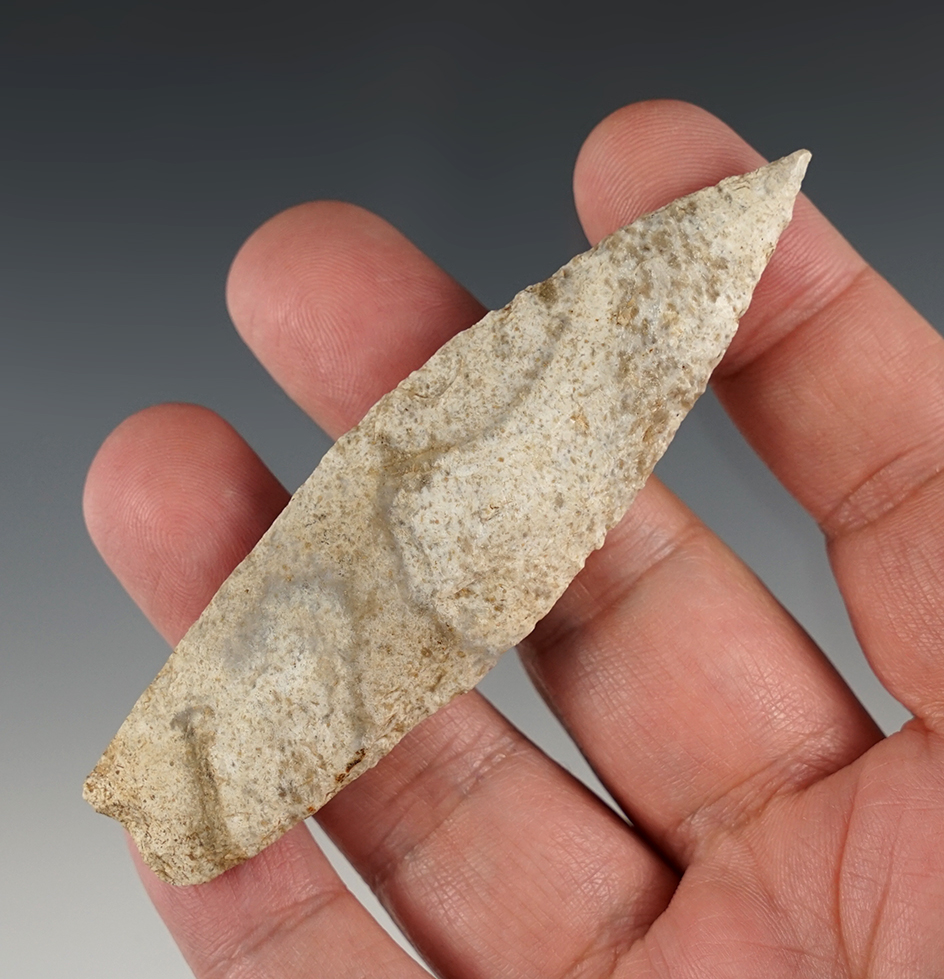 Nice 3 5/8" Sedalia found in Adams Co., Illinois. Ex. Nick Gatses collection.