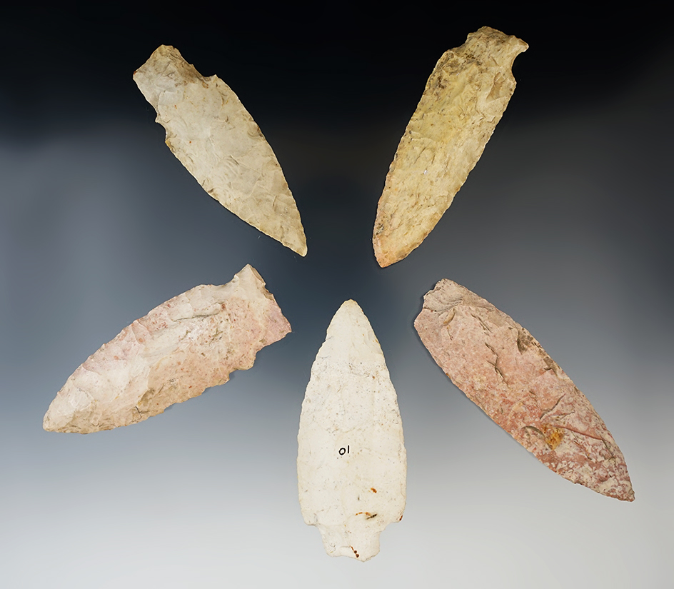 Set of 5 well made Illinois points. The largest is 4 13/16".