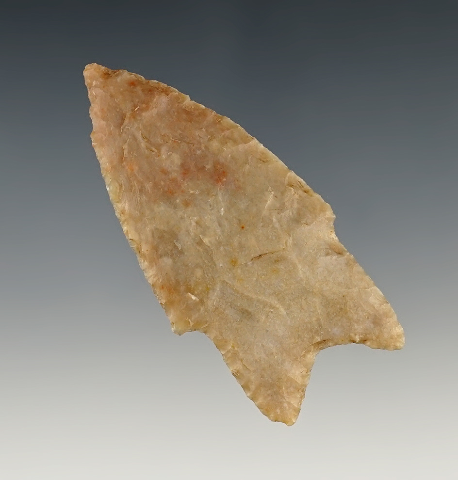 Nice 2 5/8" Pedernales found in Bandera Co., Texas. Comes with an Arnold COA.