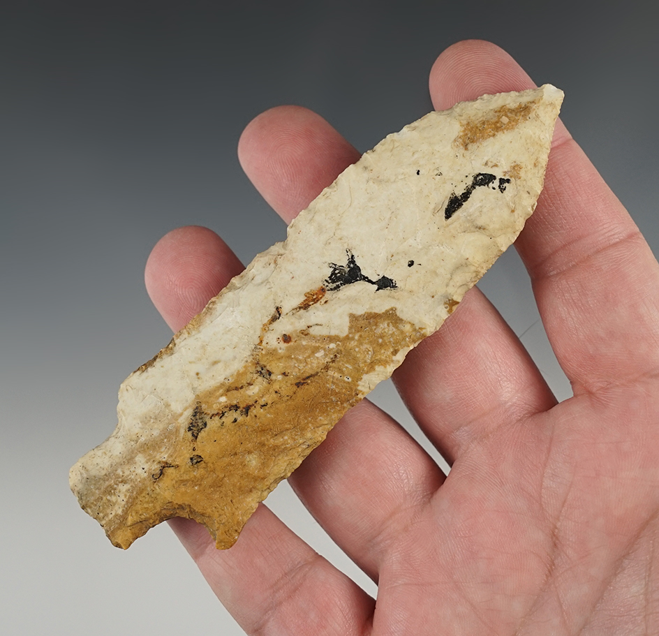 Nice 4 5/8" Missouri Etley. Comes with a Davis COA.