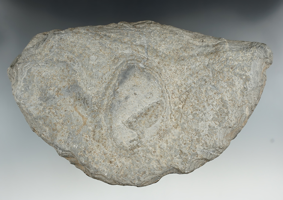 Large 8 1/4" Wingspan on this Butterfly Preform Banner. Pictured. Ex. Edwards.