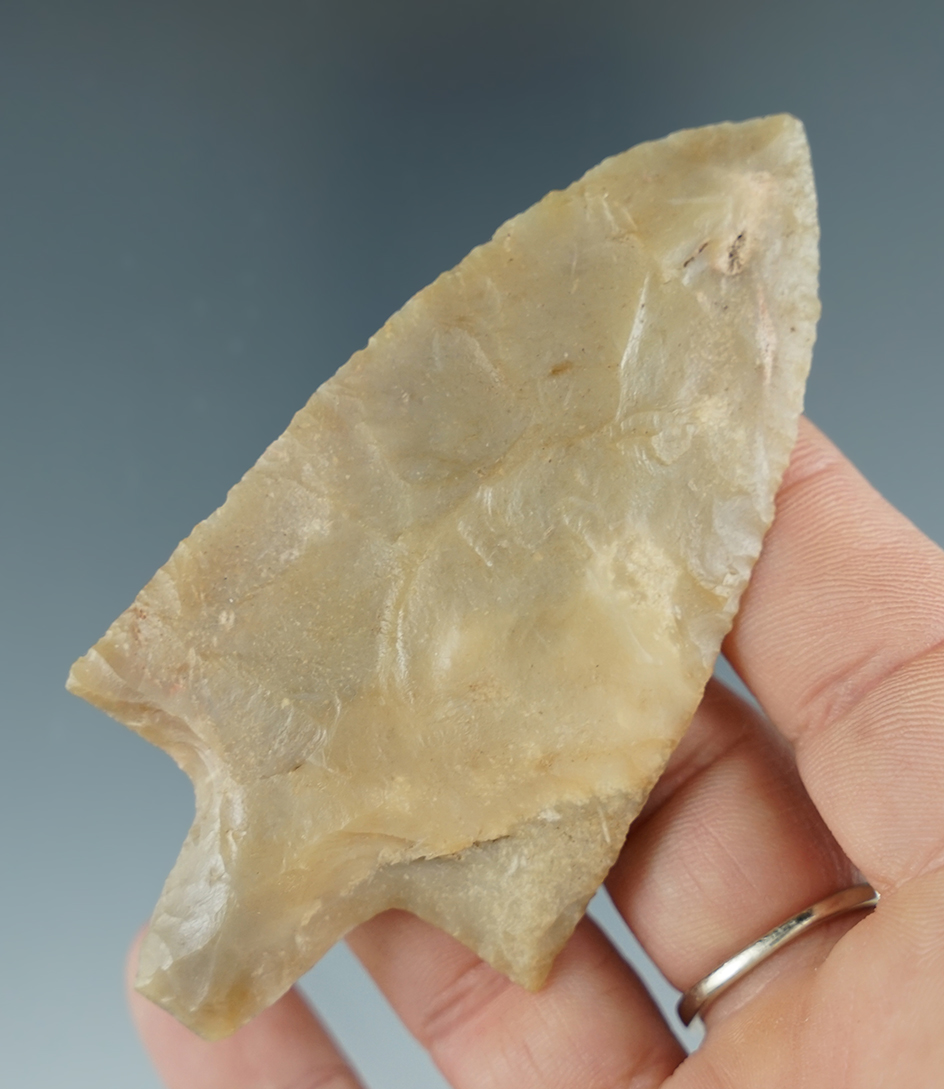 3 3/8" Newnan made from Costal Plains Flint, found in Alachua Co., Florida.  Rogers COA.