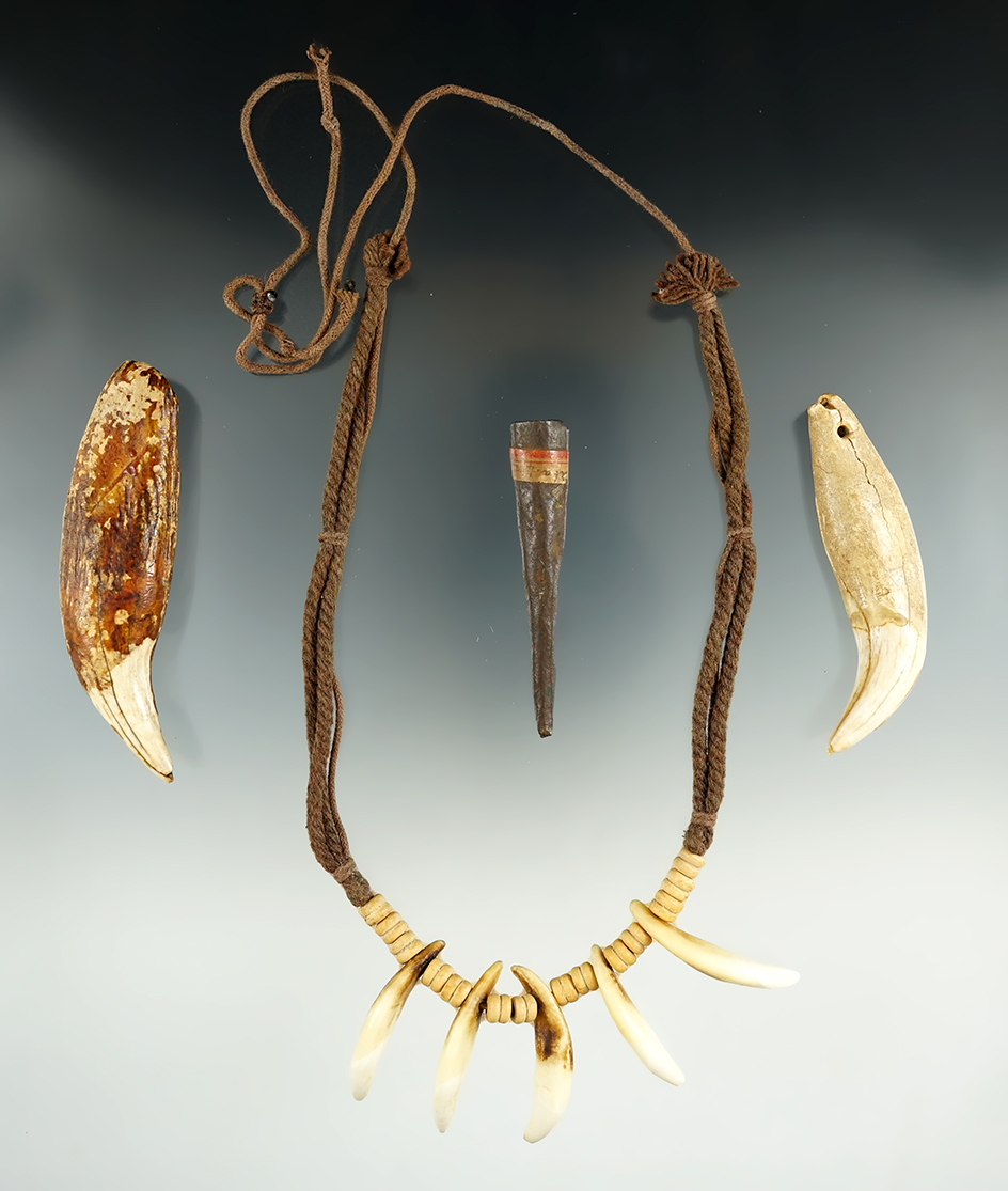 Nice group including a necklace, Conical Copper Projectile Points and two bear teeth.