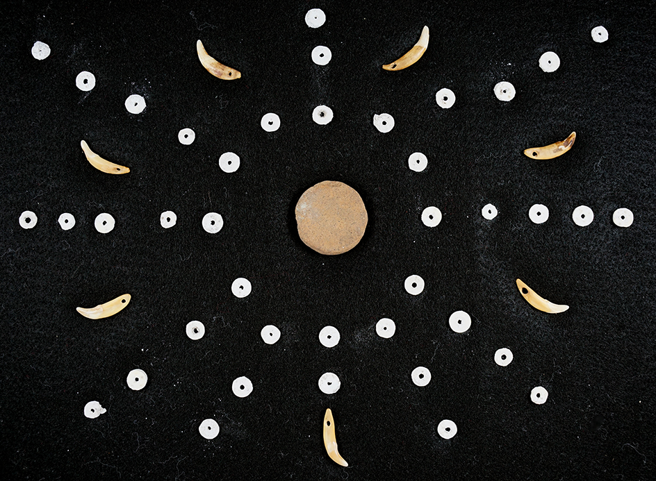 Group of artifacts collected at the Fox Field site, Mason Co., Kentucky. Ex. Henry English Collectio