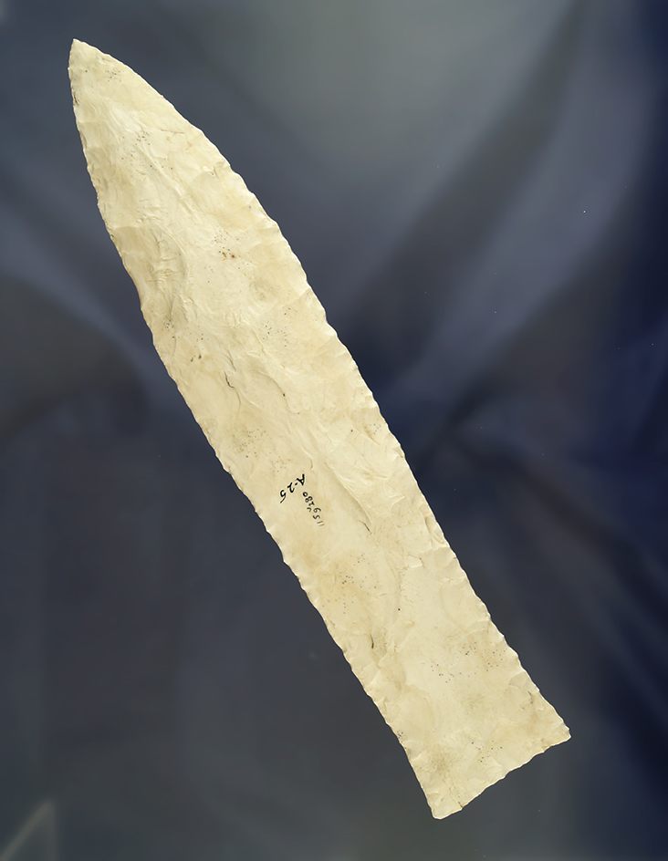 Well done cast of a 8 3/4" Wadlow found at the Airport Site  in Sangamon Co.,  Illinois.