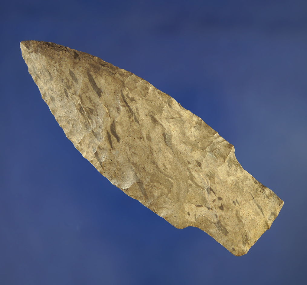 3 1/2" beautifully colored Dover Flint Paleo Stemmed Lance found near Clarksville Tennessee.