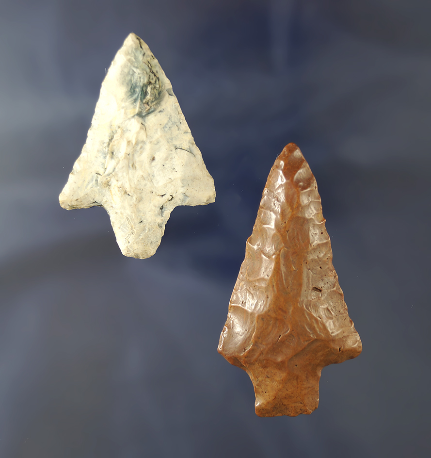 Pair of nicely patinated Florida arrowheads, largest is 2 5/8"  - Santa Fe River, Alachua Co., Flori