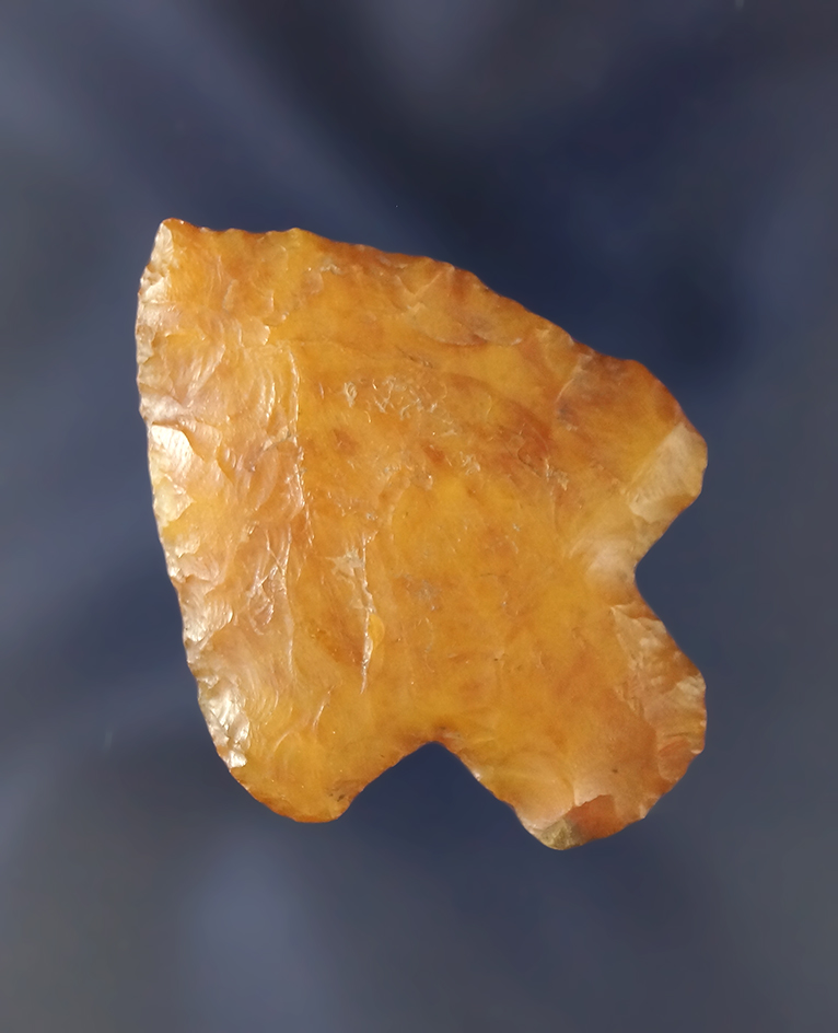 1 3/4" Marion made from beautiful translucent heat-treated Agatized coral - Manatee Co.,  Florida.