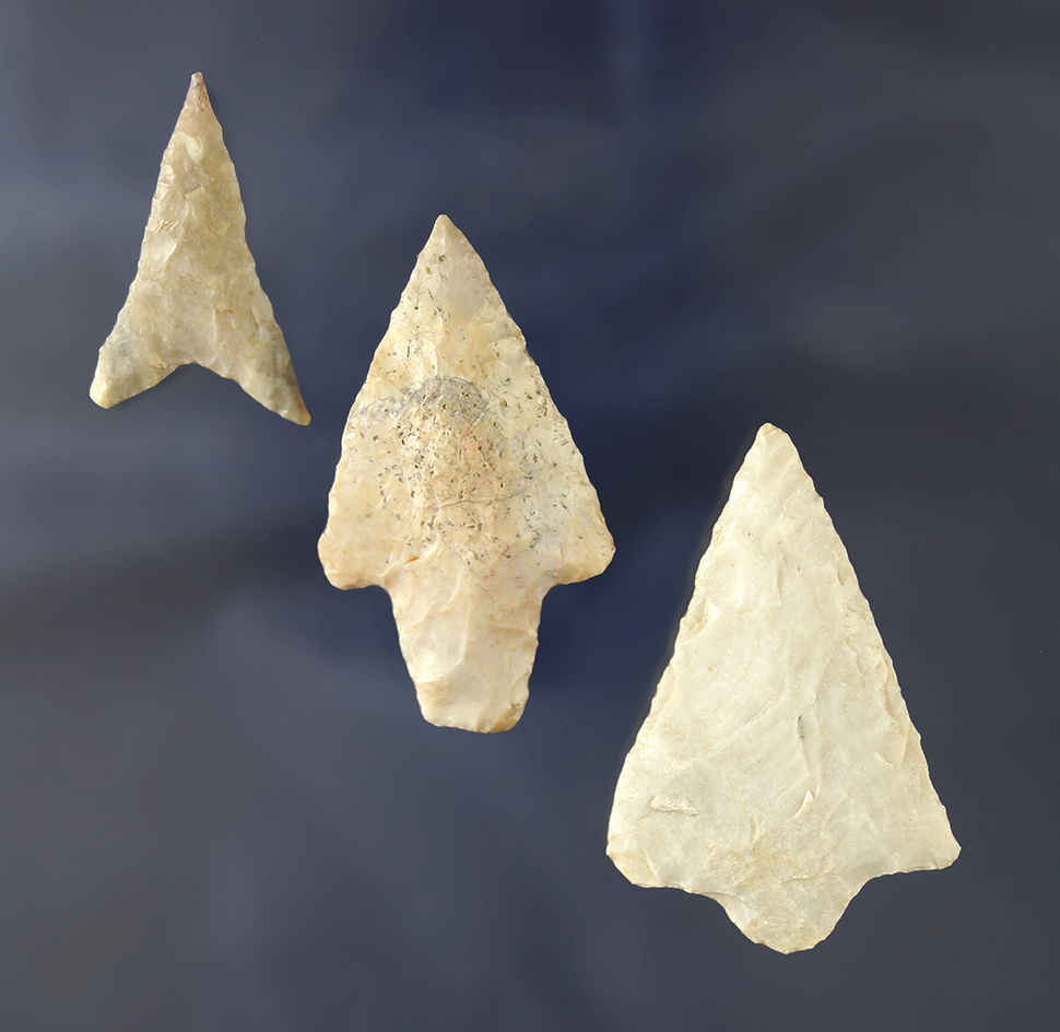 Set of three Florida arrowheads found in Manatee and Pasco Counties.  Largest is 1 7/8".
