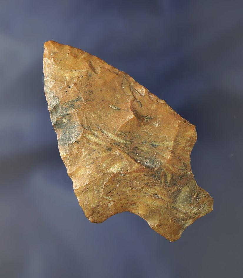 Heavy River patina on this 2 5/8" Levy Knife  found near the Santa Fe River, Alachua Co., Florida.