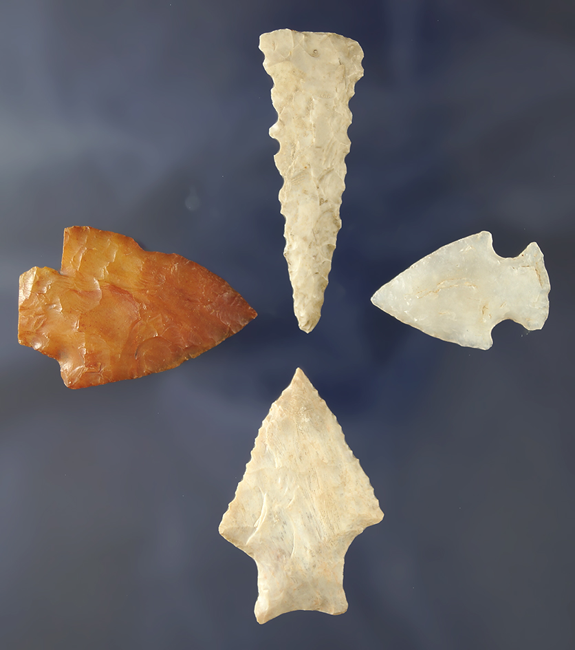Set of four arrowheads found in Pasco and Manatee Co.,  Florida, largest is 1 7/8".
