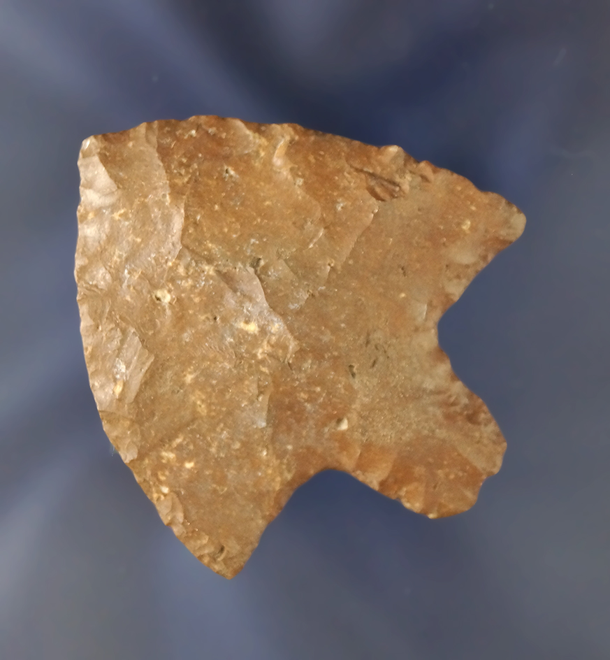 2" Marion  found near the Santa Fe River, Alachua Co., Florida. Ex. Robert E. Barr, Len Weidner -