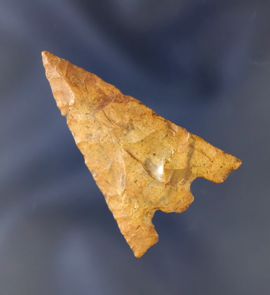 Classic style 1 13/16" Hernando that is nicely river patinated  - Santa Fe River, Alachua Co., Flori