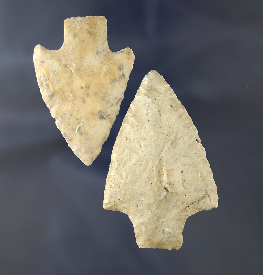 Nice pair of Florida arrowheads including a 2 11/16" Levy point found in Hillsboro and Lee Counties.
