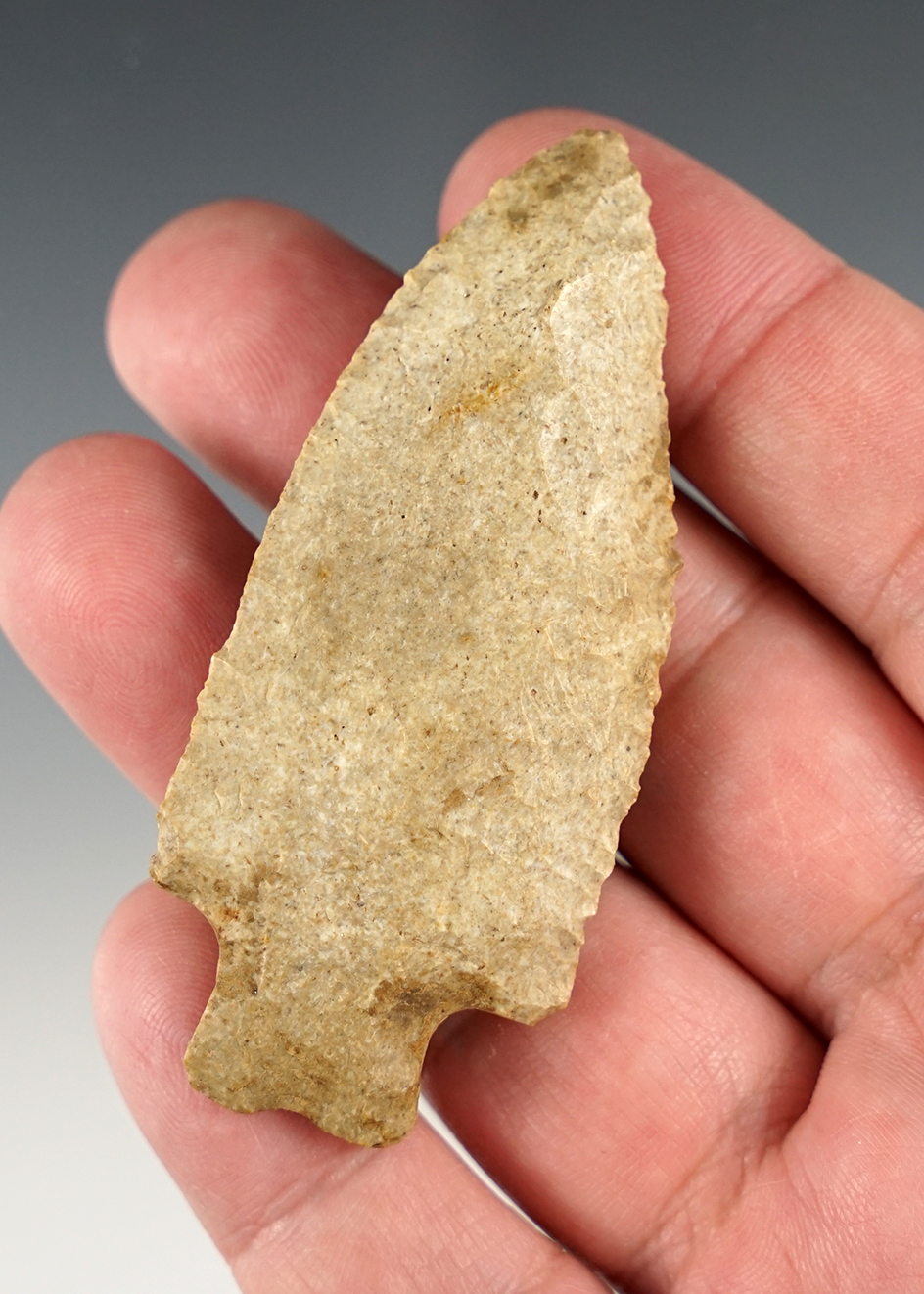 Fine 2 7/8" Heavy Duty - Kentucky. Made from patinated Boyle chert. G8 Davis COA.