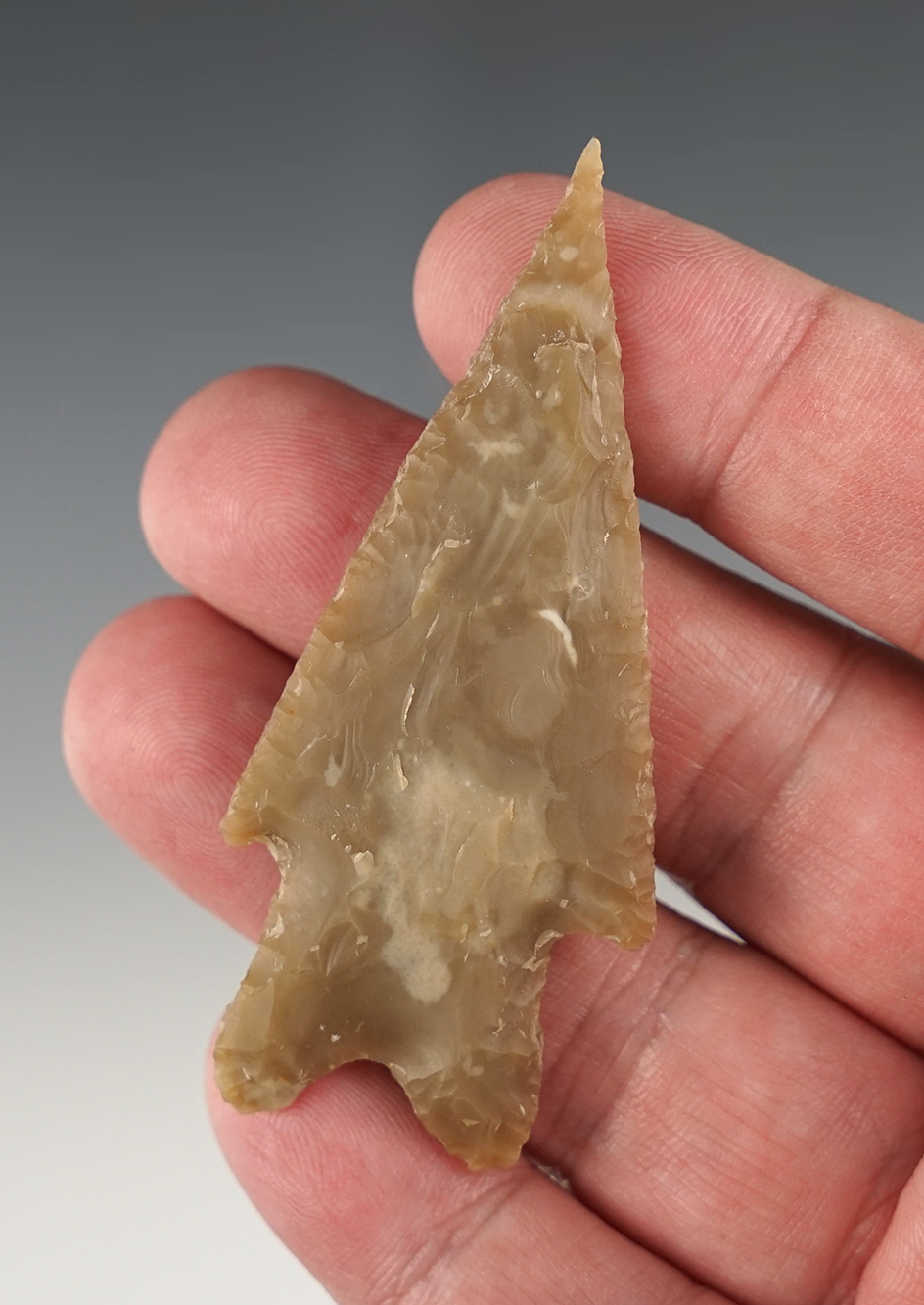 Needle tip 2 13/16" Pedernales found in Bandera Co., Texas. Comes with an Arnold COA.