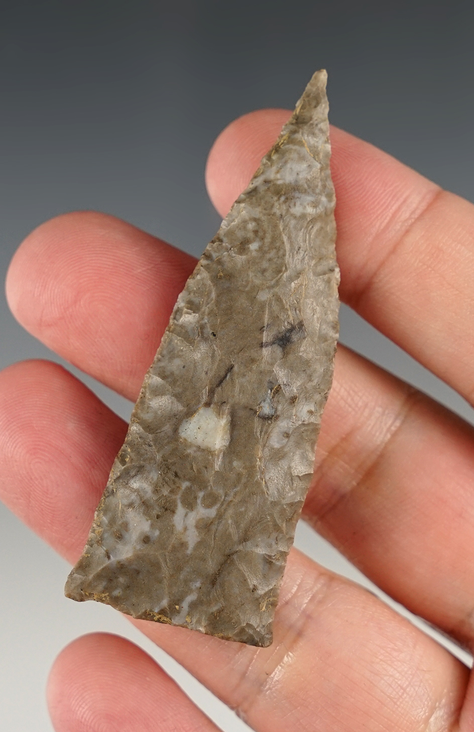 2 3/4" Copena found in Hardin Co., Tennessee. Nice sharp needle tip!