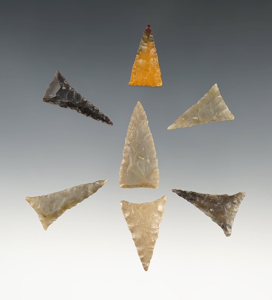 Set of 7 fine Triangle points found in Tennessee/Kentucky. The largest is 1 3/8".