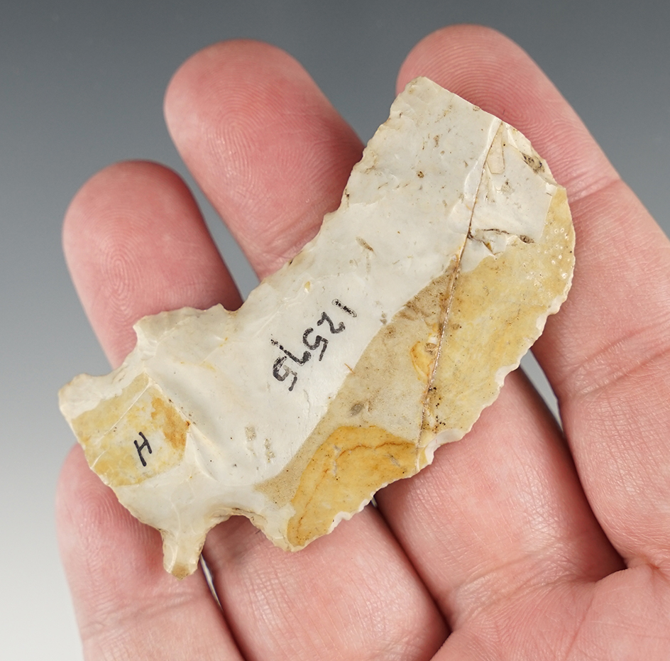 Fantastic Ohio Hafted Shaft Scraper that measures 2 1/2".