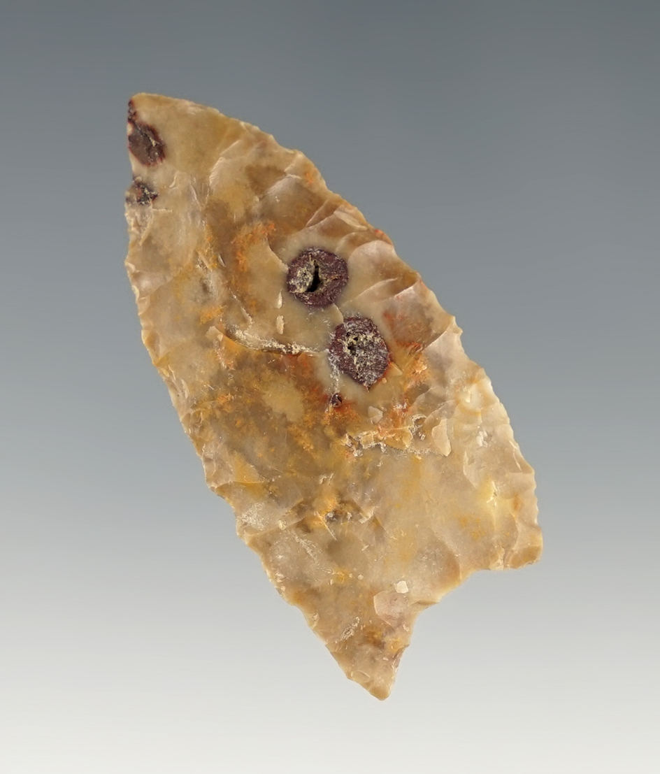 Uniquely styled 1 3/16" Dart point with nice basal thinning. Found in Umatilla, Oregon.