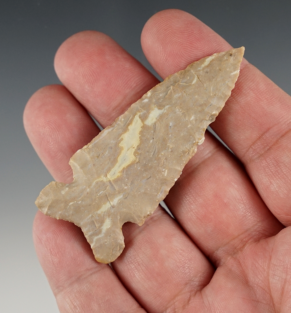 Outstanding 2 11/16" Graham Cave found in the Kentucky. A fine example!