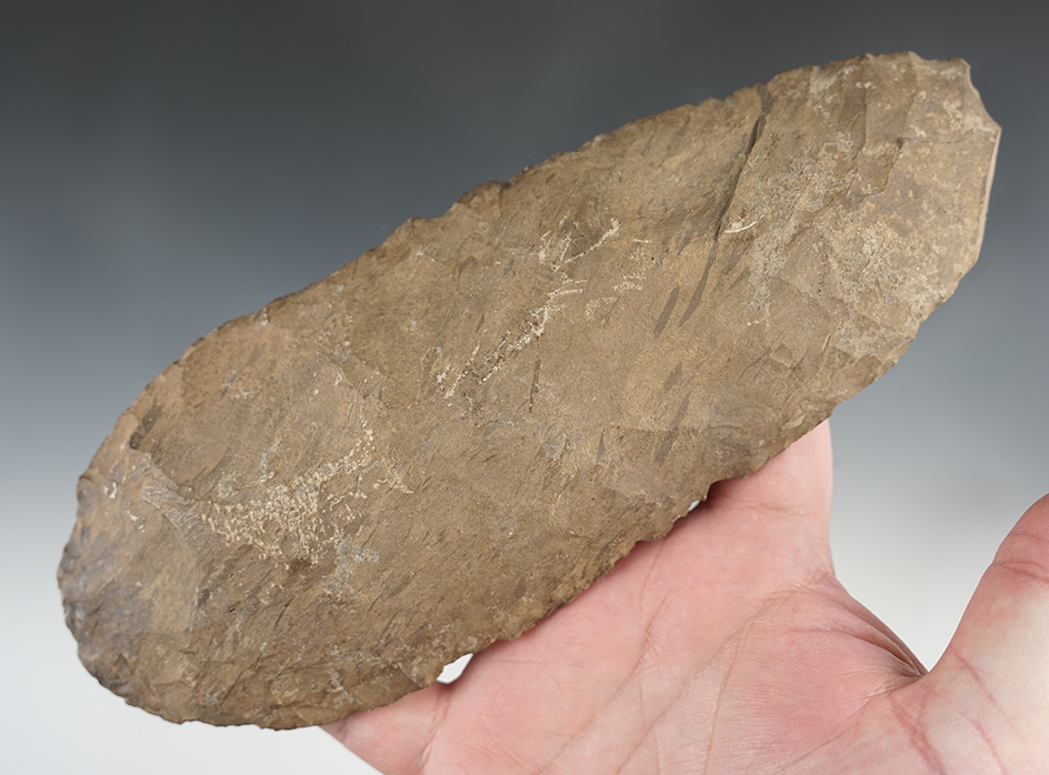 8 1/2" Dover Spade found in Tennessee with some polish to the bit area.