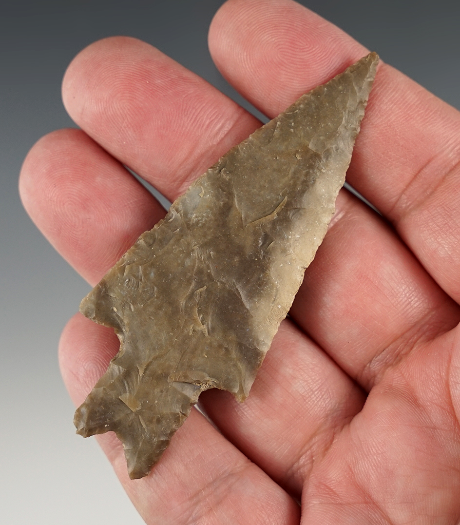 3 3/16" Pedernales found in Kerr Co., Texas by Bo Payne near Town Creek. Rogers COA.