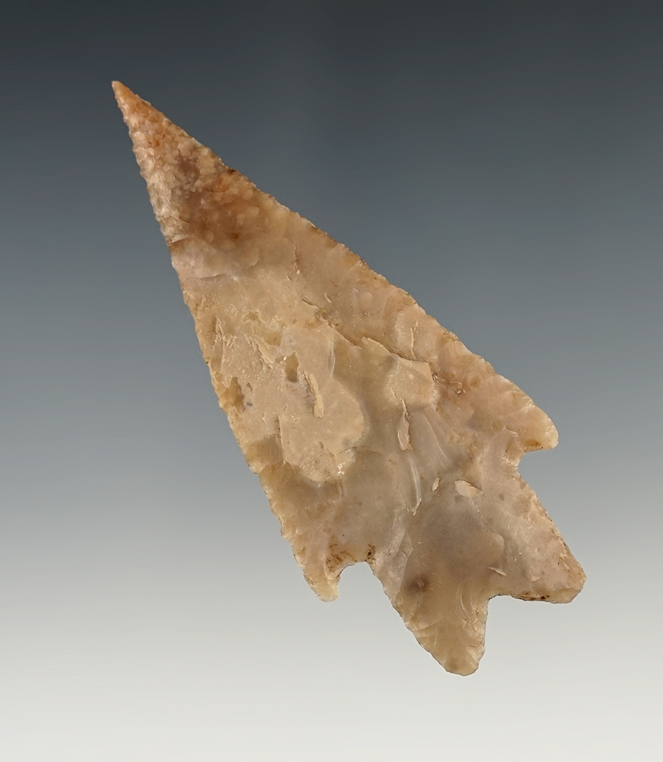 Superb 3 3/16" Pedernales found in Gillespie Co., Texas. Great edge work. Rogers COA.