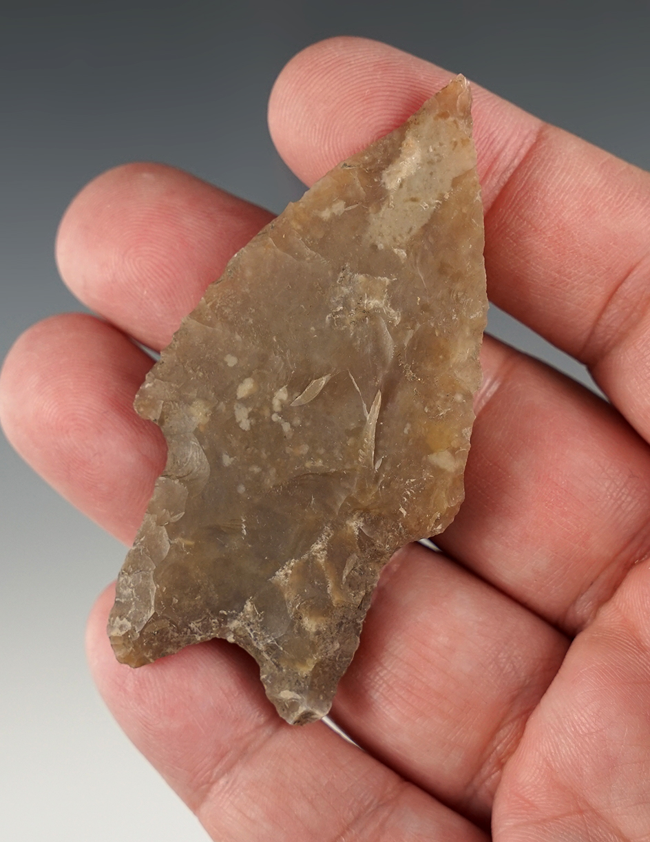 Nice 2 7/8" Pedernales found in Bandera Co., Texas. Comes with an Arnold COA.