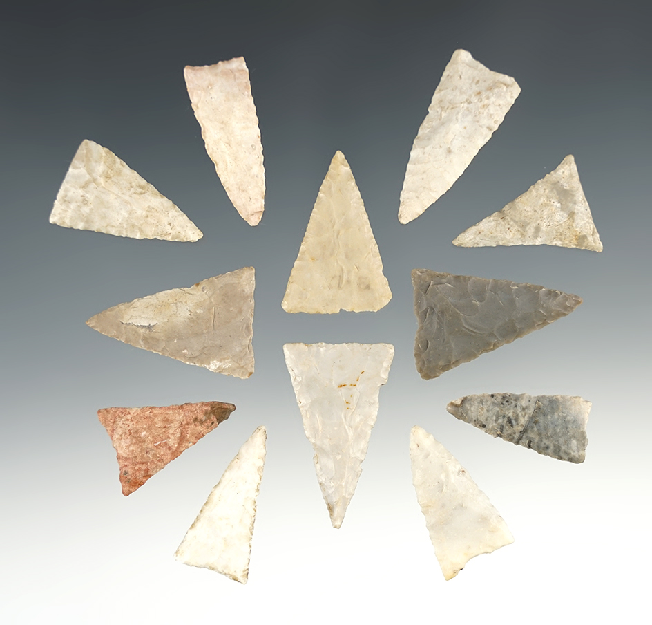 Set of 12 nice Illinois Triangle points in great condition. The largest is 1 7/16".